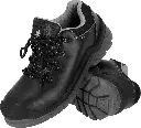 BCBOLD-P-B-max.webp